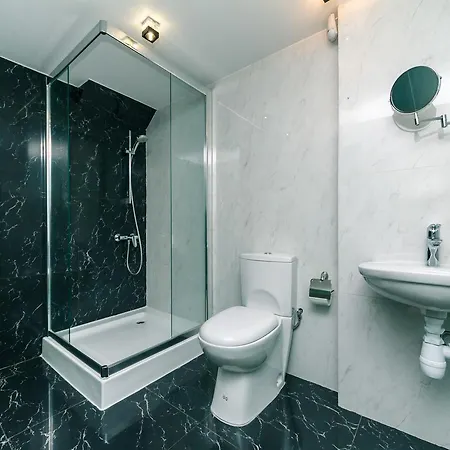 Vip At Horodetskoho 4 Apartment Kyiv
