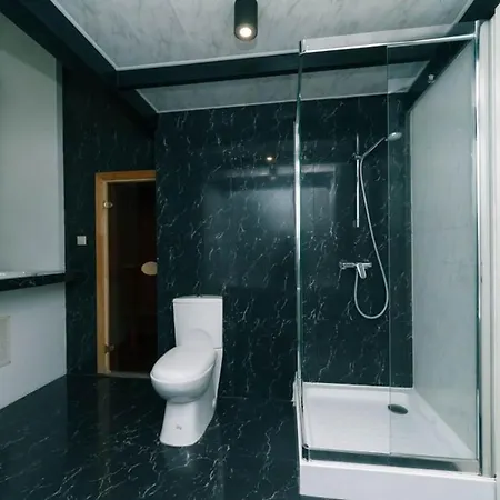 Apartament Vip At Horodetskoho 4
